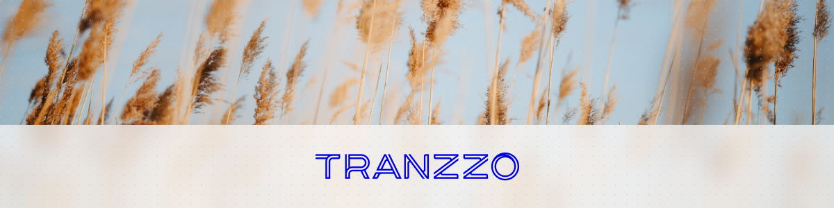 Tranzzo